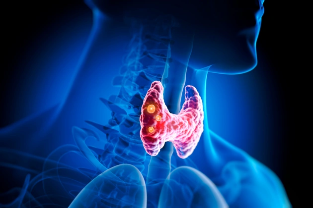 thyroid